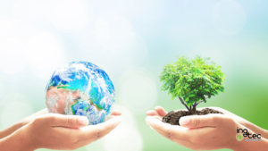 El Día Mundial del Medio Ambiente y la Sostenibilidad Empresarial